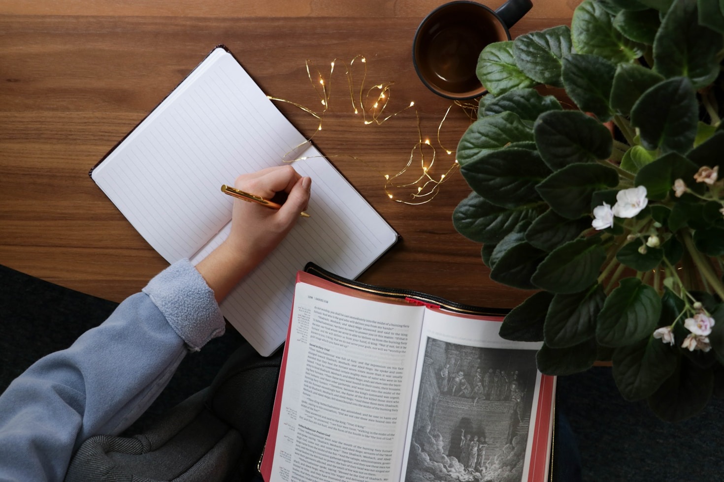 How To Build A Loyal Author Following